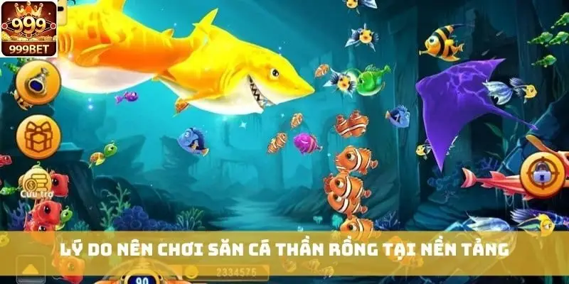 Lý do nên chơi Săn Cá Thần Rồng tại nền tảng